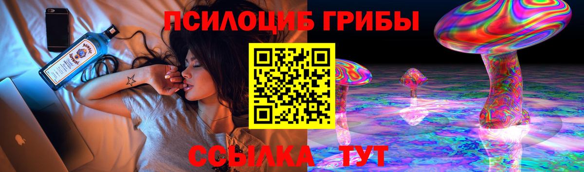 Псилоцибиновые грибы мицелий Сланцы