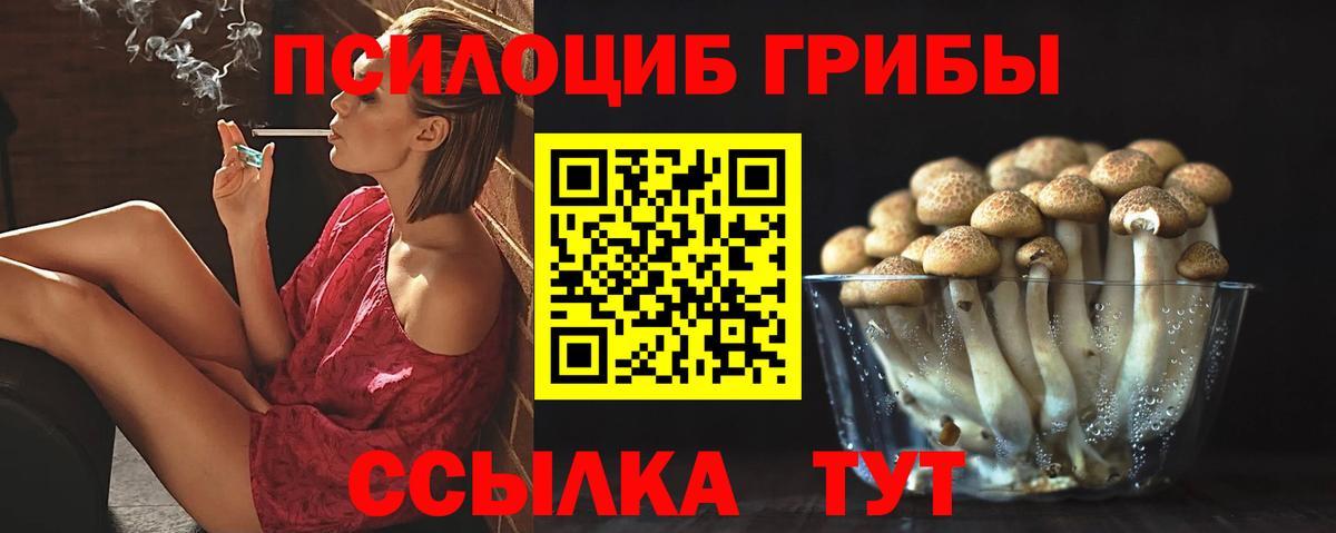 Галлюциногенные грибы Psilocybe  Псилоцибиновые грибы MAGIC MUSHROOMS  Сланцы  Вход с VPN 
